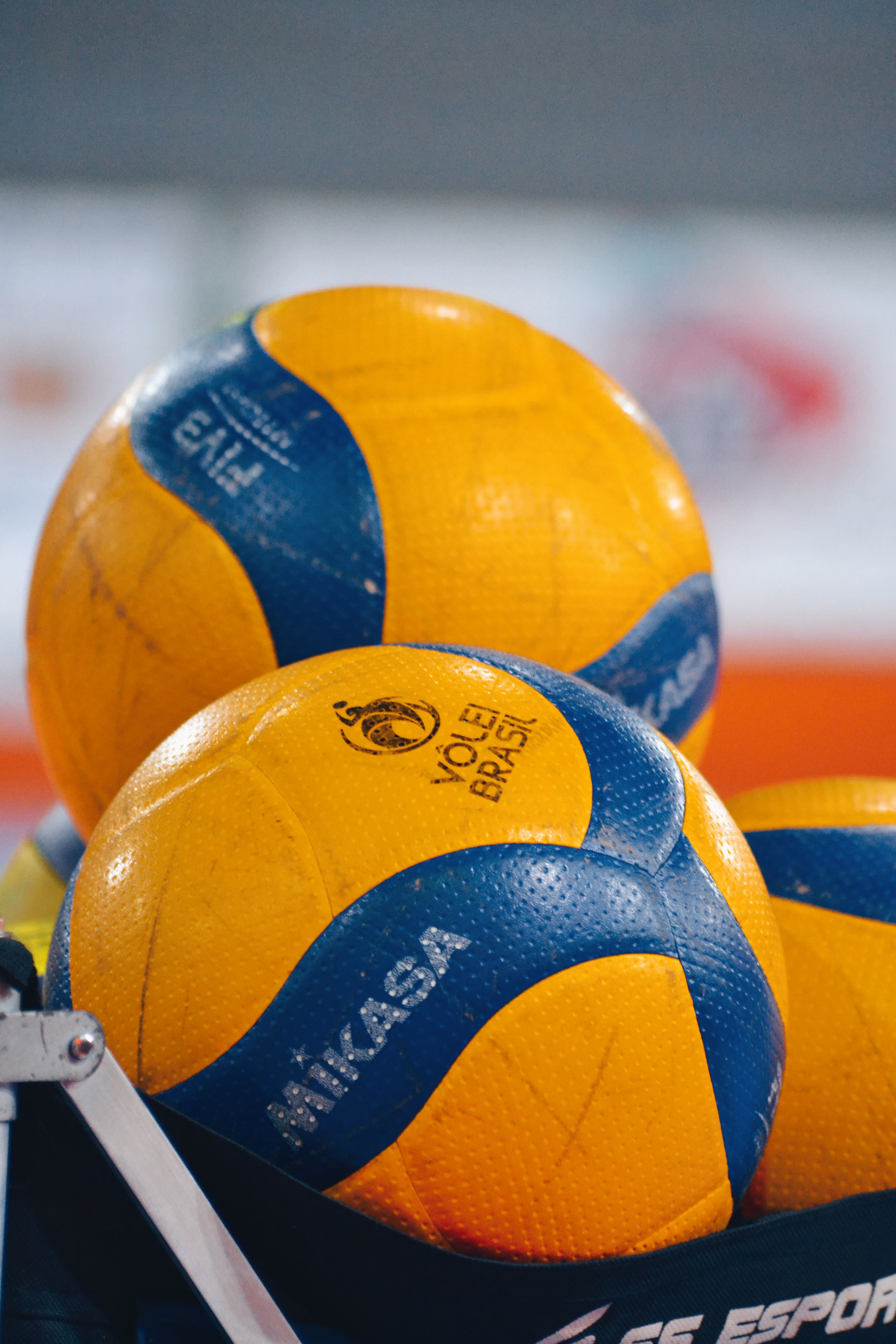 Volei: Brasil garante a selecao feminina nas Finais da Liga das Nacoes; masculino luta por vaga em Chicago